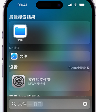 新余apple维修中心分享iPhone文件应用中存储和找到下载文件 