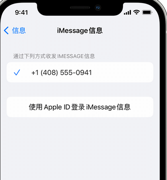 新余apple维修iPhone上无法正常发送iMessage信息 