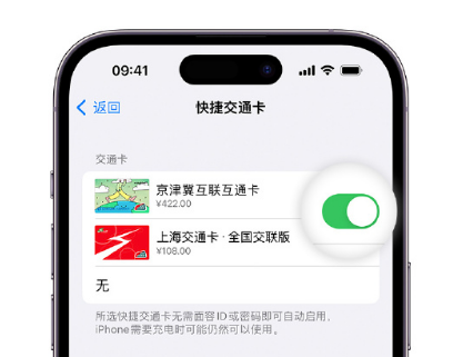 新余apple维修点分享iPhone上更换Apple Pay快捷交通卡手绘卡面 