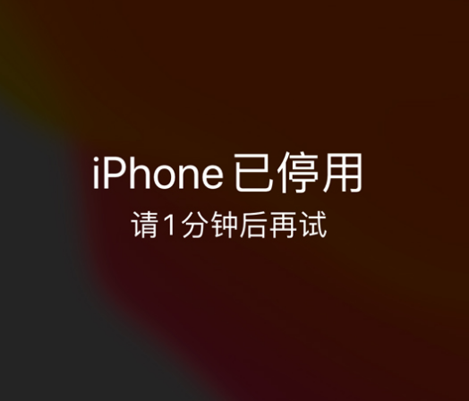 新余苹果手机维修分享:iPhone 显示“不可用”或“已停用”怎么办？还能保留数据吗？ 