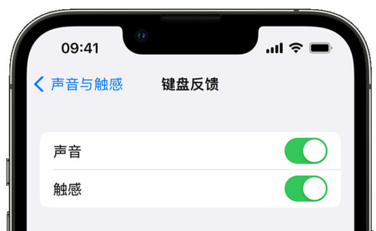 新余苹果手机维修分享iPhone 14触感键盘使用方法 