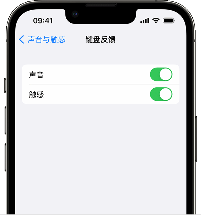 新余苹果14维修店分享如何在 iPhone 14 机型中使用触感键盘 