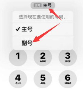 新余苹果14维修店分享iPhone 14 Pro Max使用副卡打电话的方法 