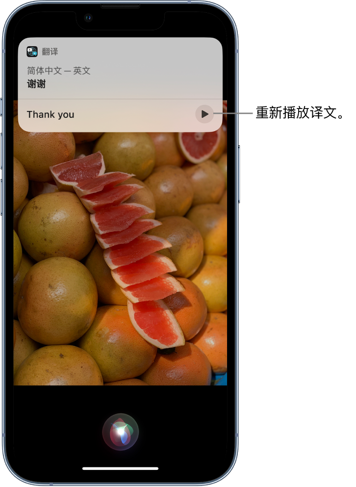 新余苹果14维修分享 iPhone 14 机型中使用 Siri：了解 Siri 能帮你做什么 