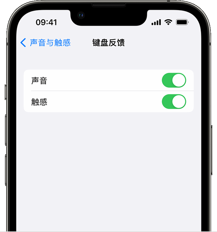 新余苹果14维修分享iPhone 14 系列机型如何开启键盘声音或触感反馈 