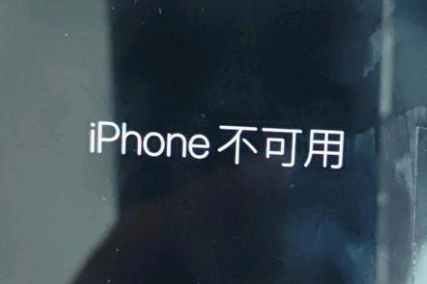 新余苹果服务网点分享锁屏界面显示“iPhone 不可用”如何解决 