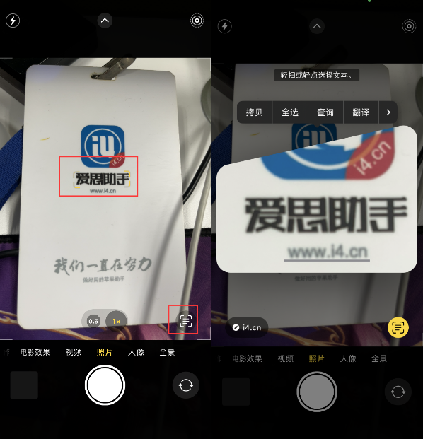 新余苹果手机维修分享升级iOS 16后如何通过相机翻译文本 
