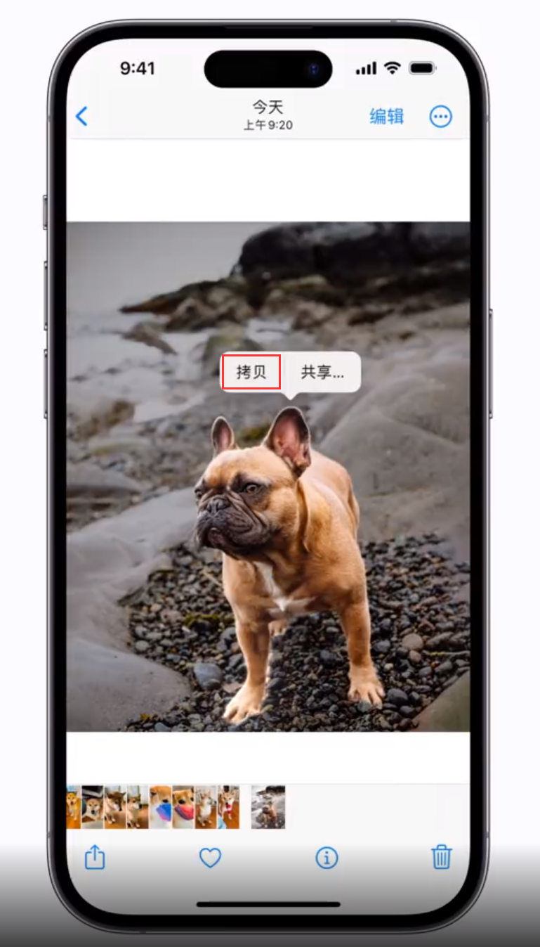 新余 苹果手机维修分享iOS 16 “照片”应用更新内容与改进汇总 