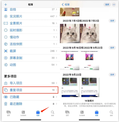 新余苹果手机维修分享iOS 16 中相册重复项目功能使用方法 