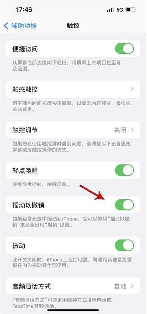 新余苹果手机维修分享iPhone手机如何设置摇一摇删除文字 