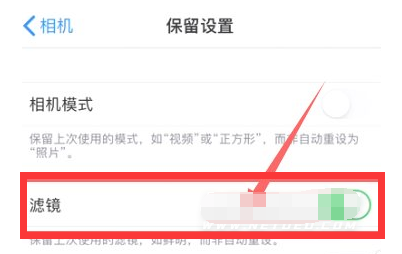新余苹果13维修分享iPhone13拍照有绿点是怎么回事 
