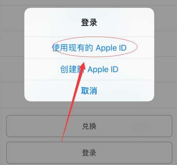 新余苹果手机维修分享两台iPhone设备可以同时登录一个Apple ID吗 