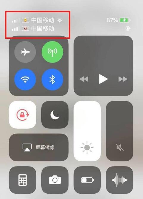 新余苹果手机维修分享为 iPhone 12 双卡设置标签 
