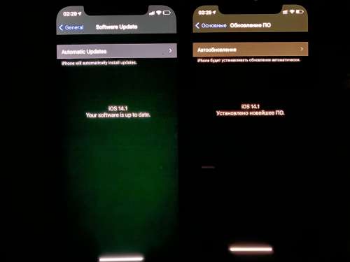 新余苹果手机维修分享iPhone 12 显示黑色画面时发绿光怎么办 